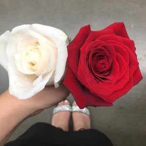 Meet your Posher, Amairani